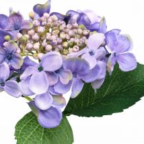 Ortensia decorativa, fiore di seta, pianta artificiale viola L44cm