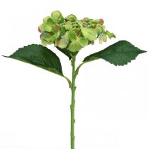 Ortensia artificiale, decorazione floreale, fiore di seta verde L44cm