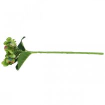 Prodotto Ortensia artificiale, decorazione floreale, fiore di seta verde L44cm
