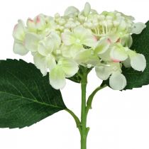 Ortensia, fiore di seta, fiore artificiale per decorazioni da tavola bianco, verde L44cm