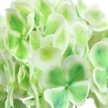 Prodotto Ortensia verde artificiale, bianca 68 cm