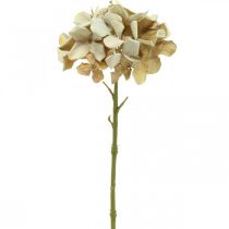 Ortensia fiore artificiale marrone, bianco decorazione autunnale fiore di seta H32cm