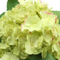 Bouquet di fiori artificiali artificiali di ortensia verde 5 fiori 42 cm