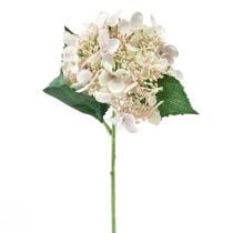 Prodotto Fiore da giardino artificiale color crema di ortensia con boccioli 52 cm