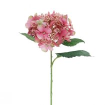 Prodotto Fiore artificiale da giardino ortensia rosa e verde con boccioli 52 cm