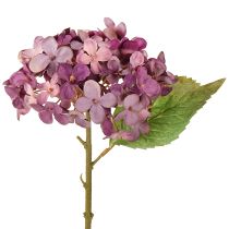 Prodotto Ortensie artificiali, fiori artificiali viola, ortensia 34 cm, 2 pezzi