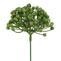 Prodotto Raccogli gemme per ortensie 22 cm verde 12 pezzi