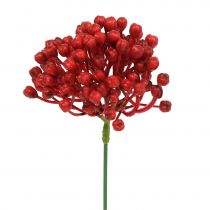 Prodotto Raccogli boccioli di ortensia 22 cm rosso 12 pezzi