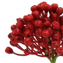 Prodotto Raccogli boccioli di ortensia 22 cm rosso 12 pezzi