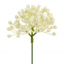 Prodotto Raccogli boccioli di ortensia 22 cm crema 12 pezzi