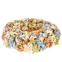 Prodotto Ghirlanda di ortensie artificiali, colorata, per porte e pareti, 55 cm