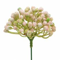Prodotto Raccoglitore di boccioli di ortensia 21 cm rosa 12 pezzi