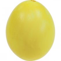 Prodotto Uova di Pasqua Uova soffiate gialle Uovo di gallina 5,5 cm 10 pezzi