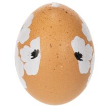 Prodotto Decorazione da appendere Uova di Pasqua e di primavera Vere uova di gallina, naturali 6 cm, 6 pezz