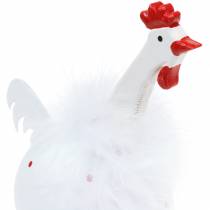 Prodotto Pollo bianco a pois 21 cm