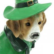 Prodotto Beagle con cappello per il giorno di San Patrizio Cane in tuta da giardino Decor Hound H24,5 cm