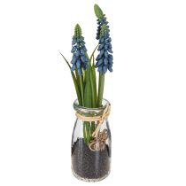 Prodotto Giacinto artificiale Giacinto perlato blu in vetro H22cm 2pz