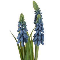 Prodotto Giacinto artificiale Giacinto perlato blu in vetro H22cm 2pz