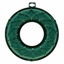 OASIS® IDEAL anello universale corona floreale in schiuma verde H4cm Ø18,5cm 5 pezzi