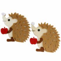 Decorazione autunnale per spargere e armeggiare i ricci 8 cm 6 pezzi