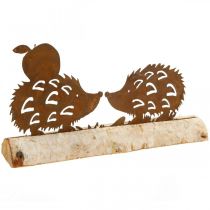 Decorazione autunnale in metallo con corteccia di betulla deco riccio ruggine 20×4 cm H10,5 cm