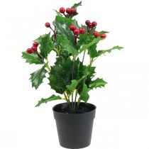 Agrifoglio in vaso piante artificiali Ilex artificial 26cm