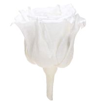 Prodotto Rose eterne Fiori stabilizzati Mini rose Bianco Ø3cm 16 pz