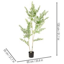 Prodotto Pianta artificiale in vaso, alta 130 cm, verde, decorativa