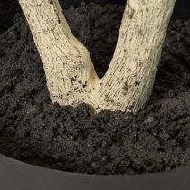 Prodotto Pianta artificiale in vaso, alta 130 cm, verde, decorativa