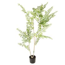 Prodotto Pianta artificiale in vaso, alta 130 cm, verde, decorativa