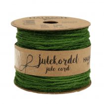 Prodotto Cordone di iuta verde Ø2mm 100g