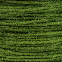 Prodotto Cordone di iuta verde Ø2mm 100g