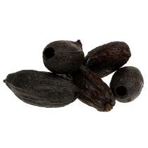 Baccelli di cacao naturale 10-18cm 15 pezzi