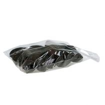Prodotto Frutto di cacao naturale 10-18 cm 15 pz