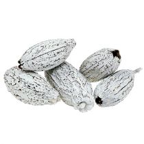 Prodotto Baccelli di cacao imbiancati 15 pz