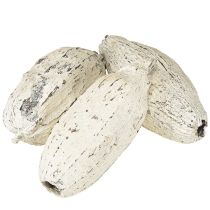 Prodotto Baccelli di cacao imbiancati 15 pezzi