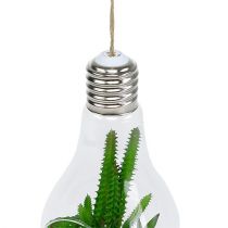 Prodotto Cactus nel bicchiere per appendere 21 cm