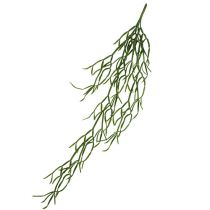Appendino cactus verde 115 cm