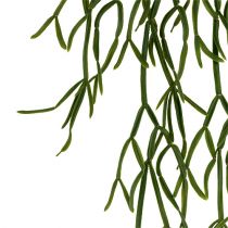 Appendino cactus verde 115 cm