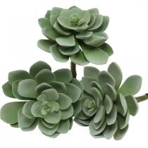 Decorazione di piante succulente artificiali piante artificiali verdi 11 × 8,5 cm 3 pezzi