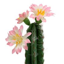 Cactus in vaso con fiore Rosa H 21cm