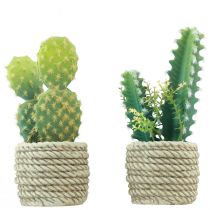 Cactus in vaso cactus artificiali assortiti 28cm 2pz