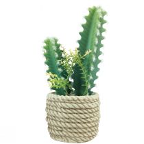 Prodotto Cactus in vaso cactus artificiali assortiti 28cm 2pz
