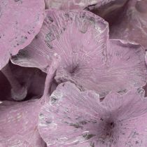 Prodotto Kalix Mushroom Viola, Bianco Lavato 100 pezzi