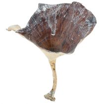Fungo Kalix lavato bianco 100p