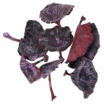 Prodotto Kalix Mushroom Viola, Bianco Lavato 100 Pz