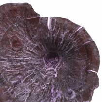 Prodotto Kalix Mushroom Viola, Bianco Lavato 100 Pz