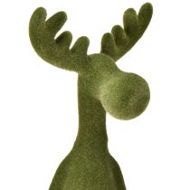 Prodotto Sgabello con bordo decorativo in legno di alce, verde, altezza 31 cm, 2 pezzi
