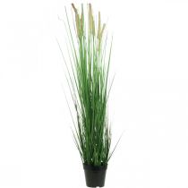 Carice artificiale in vaso con spighe Pianta artificiale Carex 98cm