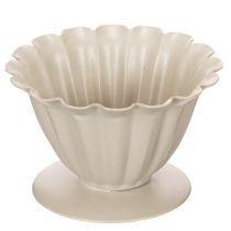 Prodotto Ciotola, calice, calice di fiore, decorazione color crema, 9 cm